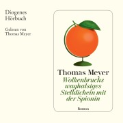 Cover-Bild zum Titel 'Wolkenbruchs waghalsiges Stelldichein mit der Spionin' von 'Thomas Meyer'