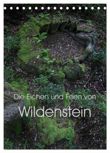 Die Eichen und Feen von Wildenstein (Tischkalender 2025 DIN A5 hoch), CALVENDO Monatskalender - Fru. Ch Fru. Ch