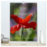 Kleine Naturschönheiten (hochwertiger Premium Wandkalender 2026 DIN A2 hoch), Kunstdruck in Hochglanz - CoKeDi - Photographie Kelle-Dingel