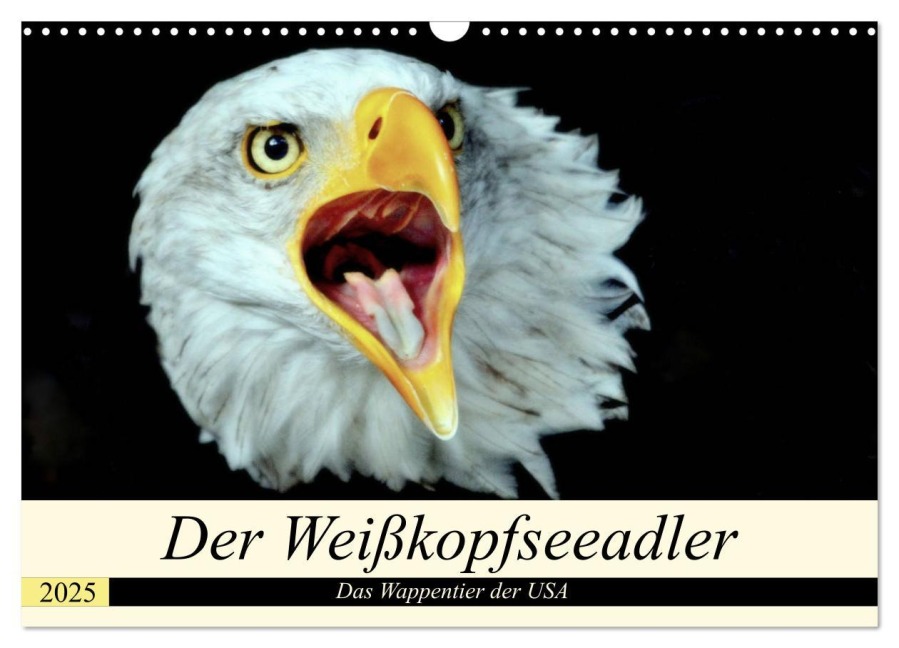 Der Weißkopfseeadler - Das Wappentier der USA (Wandkalender 2025 DIN A3 quer), CALVENDO Monatskalender - Arno Klatt