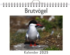 Cover-Bild zum Titel 'Brutvögel' von 'Emil Scholz'