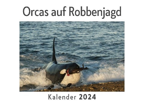 Orcas auf Robbenjagd (Wandkalender 2024, Kalender DIN A4 quer, Monatskalender im Querformat mit Kalendarium, Das perfekte Geschenk) - Anna Müller