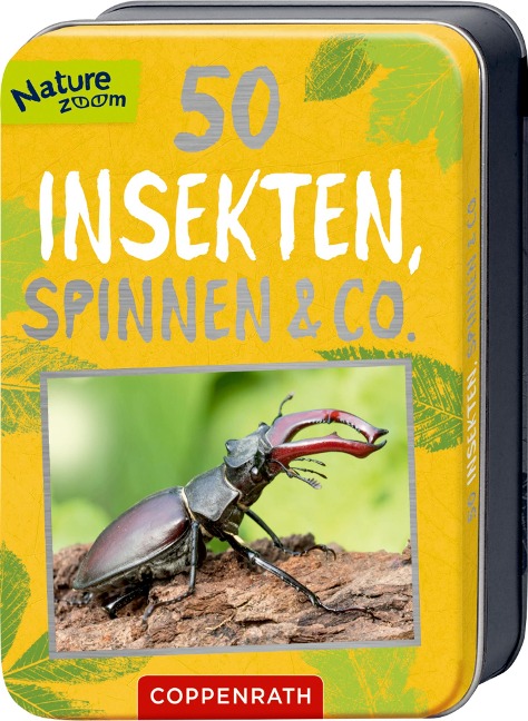 50 Insekten, Spinnen & Co. - Holger Haag