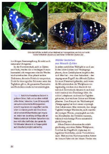 InsideView 3