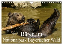 Cover-Bild zum Titel 'Bären im Nationalpark Bayerischer Wald (Wandkalender 2026 DIN A4 quer), CALVENDO Monatskalender' von 'Erika Müller'