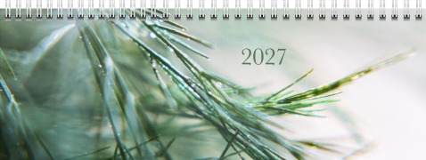 Cover-Bild zum Titel 'rido/idé 7036311037 Querterminbuch Premium Young Line 2027 "Greeny" 297×105 mm, Papier' von ''