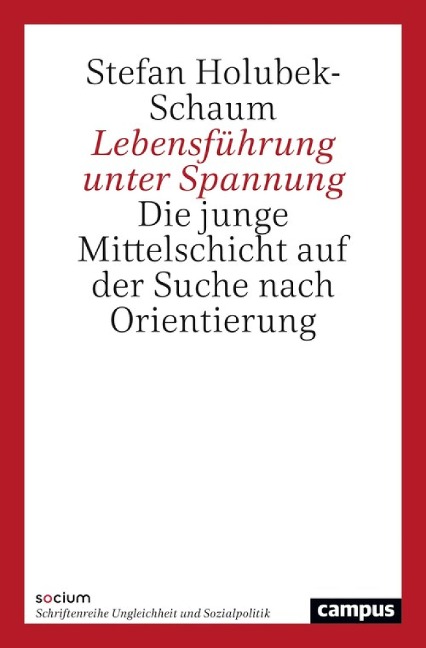 Lebensführung unter Spannung - Stefan Holubek-Schaum