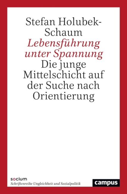 Lebensführung unter Spannung - Stefan Holubek-Schaum