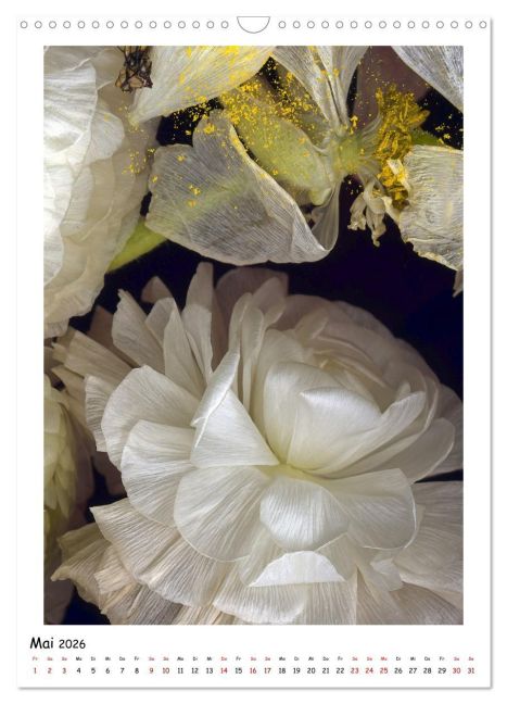InsideView 10
