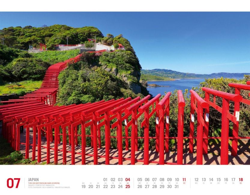 InsideView 7