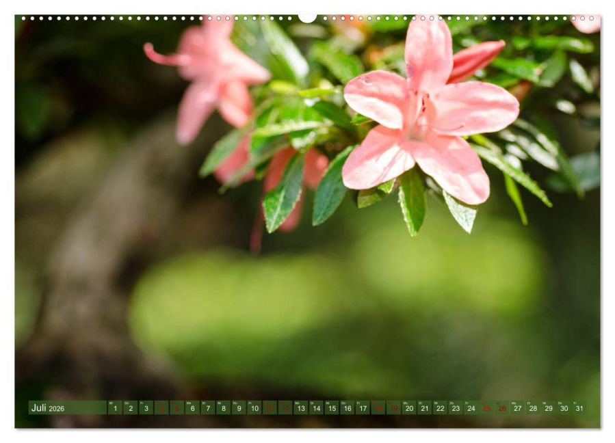 InsideView 12