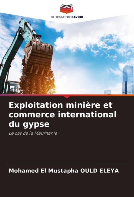 Exploitation minière et commerce international du gypse - Mohamed El Mustapha Ould Eleya