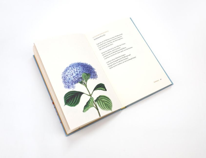 InsideView 5