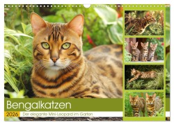 Cover-Bild zum Titel 'Bengalkatzen. Der elegante Mini-Leopard im Garten (Wandkalender 2026 DIN A3 quer), CALVENDO Monatskalender' von 'Rose Hurley'