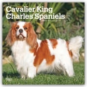 Cover-Bild zum Titel 'Cavalier King Charles Spaniels 2027 - 16-Monatskalender' von 'Browntrout Publishers'