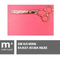 Cover-Bild zum Titel 'Die Näherin' von 'Rainer Maria Rilke'