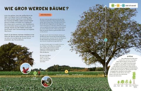 InsideView 9