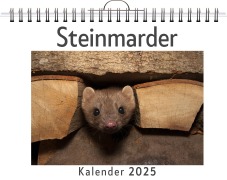 Cover-Bild zum Titel 'Steinmarder' von 'Jonah Schulz'
