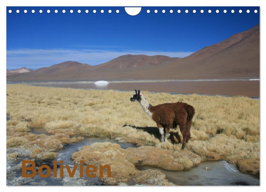 Bolivien (Wandkalender 2026 DIN A4 quer), CALVENDO Monatskalender - Alboter Alboter