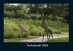 Cover-Bild zum Titel 'Tierkalender 2026 Fotokalender DIN A4' von 'Tobias Becker'