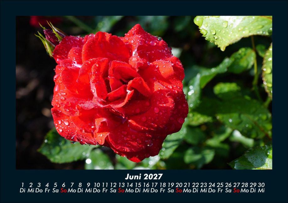 InsideView 10
