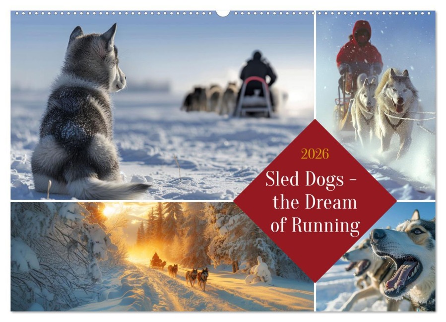 Sled Dogs - the Dream of Running (Wall Calendar 2026 DIN A2 landscape), CALVENDO 12 Month Wall Calendar - Kerstin Waurick