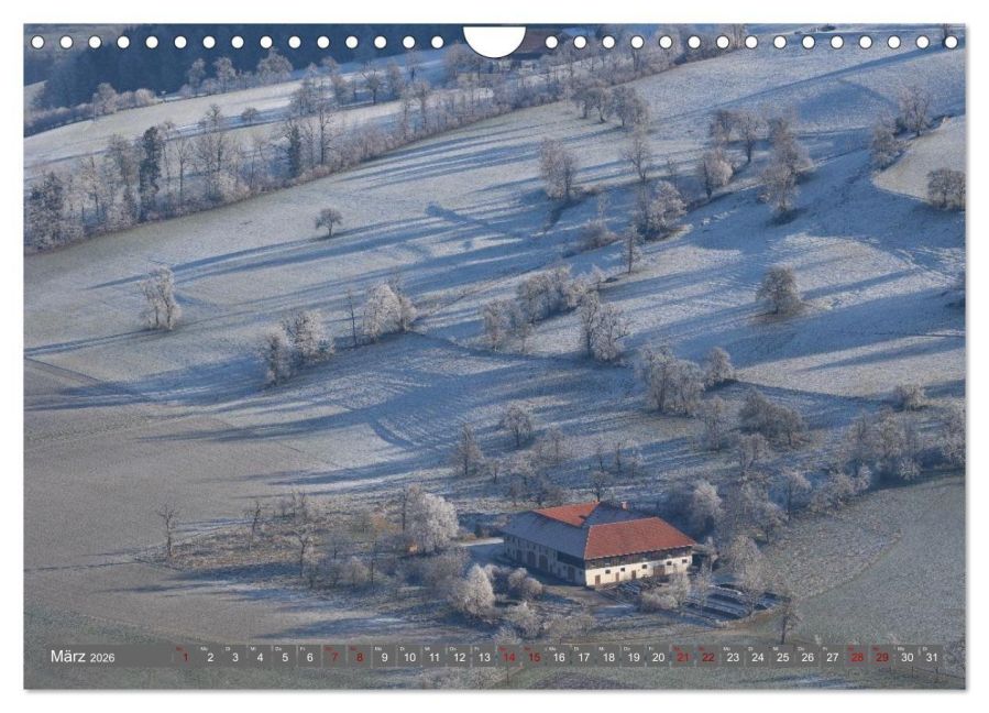 InsideView 8