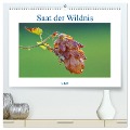 Saat der Wildnis (hochwertiger Premium Wandkalender 2024 DIN A2 quer), Kunstdruck in Hochglanz - Clemens Stenner