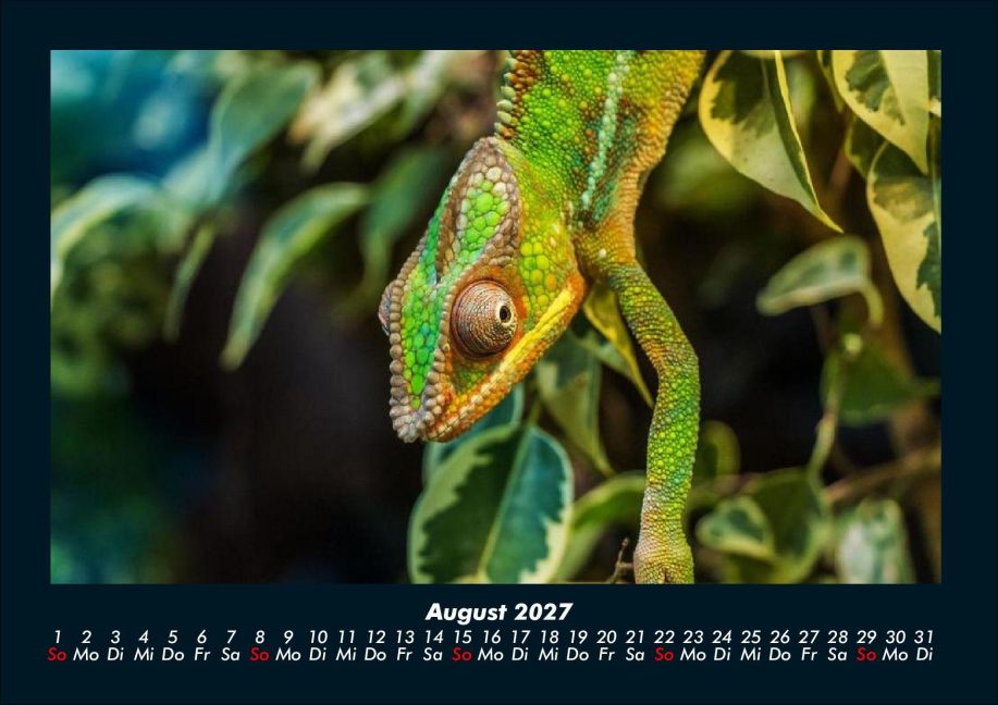 InsideView 12