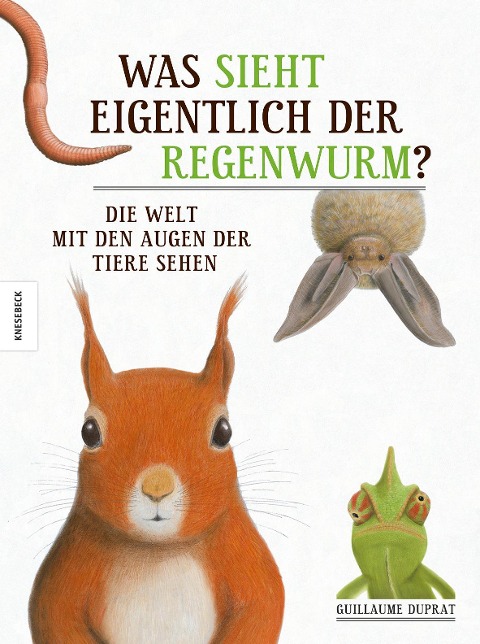 Was sieht eigentlich der Regenwurm? - Guillaume Duprat