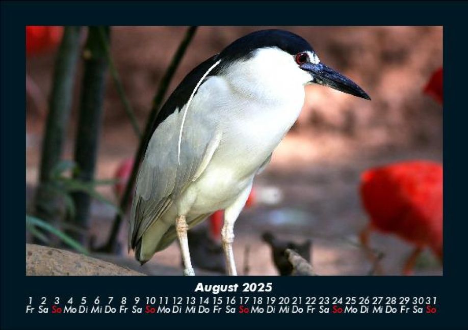 InsideView 12