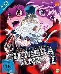 Cover-Bild zum Titel 'Hunter x Hunter' von 'Yoshihiro Togashi, Joel Mcdonald, Atsushi Maekawa, Mitsutaka Hirota, Fumiyo Sakai'