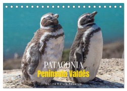 Cover-Bild zum Titel 'Patagonia, Peninsula Valdés - Marine Nature Reserve (Desk Calendar 2026 DIN A5 landscape), CALVENDO 12 Month DeskCalendar' von 'Oleg Senkov'