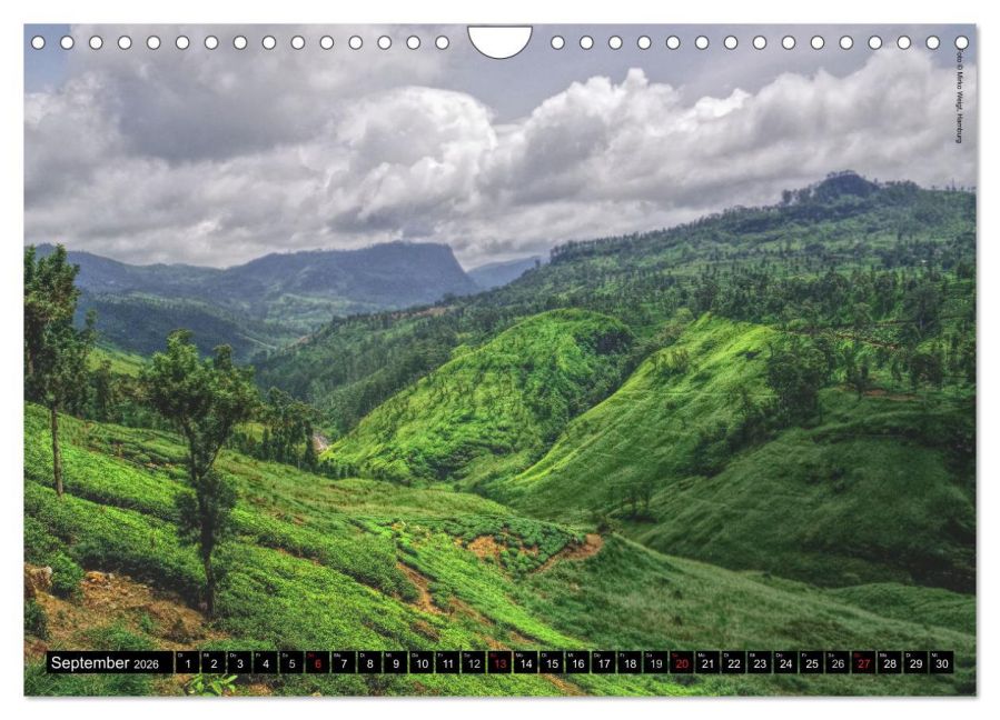 InsideView 14