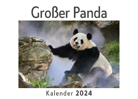 Großer Panda (Wandkalender 2024, Kalender DIN A4 quer, Monatskalender im Querformat mit Kalendarium, Das perfekte Geschenk) - Anna Müller
