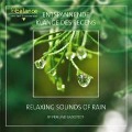 Entspannende Klänge Des Regens - Perlund Saerstedt