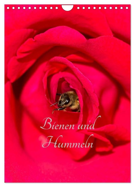 Bienen und Hummeln (Wandkalender 2024 DIN A4 hoch), CALVENDO Monatskalender - Mark Bangert
