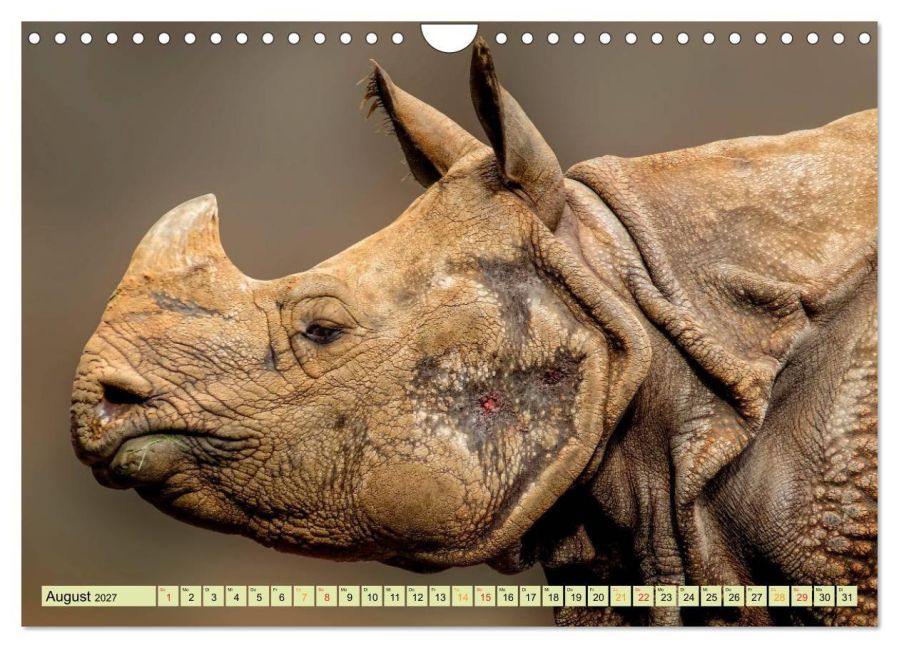 InsideView 13