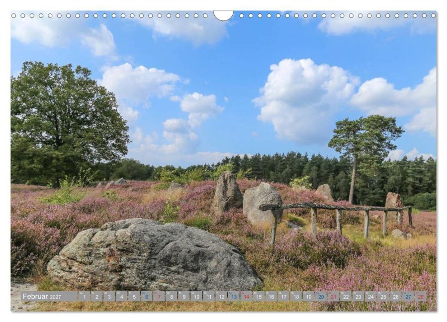 InsideView 7