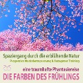 Die Farben des Frühlings - Spaziergang durch die erblühende Natur, eine traumhafte Phantasiereise mit der P&A Methode - Torsten Abrolat, Franziska Diesmann