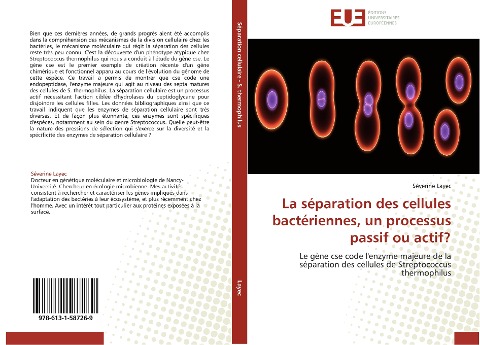 La séparation des cellules bactériennes, un processus passif ou actif? - Séverine Layec
