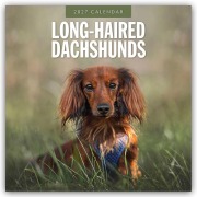 Cover-Bild zum Titel 'Long-Haired Dachshunds - Langhaardackel 2027 - 16-Monatskalender' von 'Robin Red'
