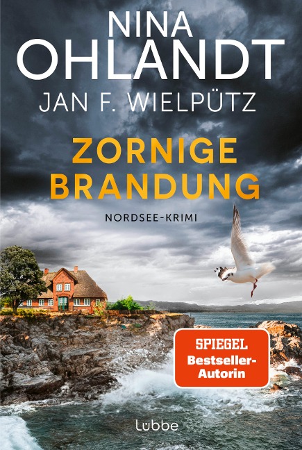 Zornige Brandung - Nina Ohlandt, Jan F. Wielpütz