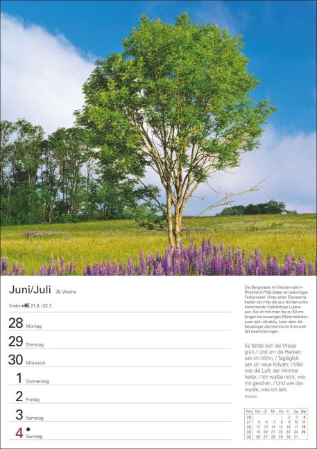 InsideView 7