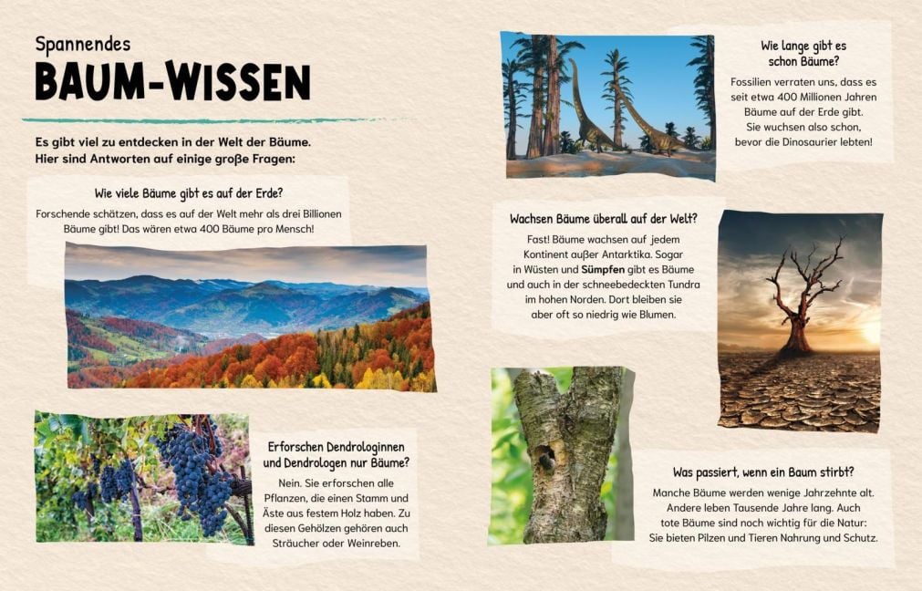 InsideView 4