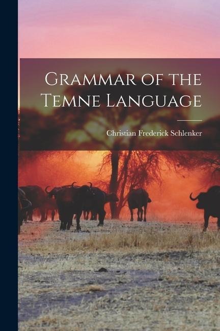 Grammar of the Temne Language - Christian Frederick Schlenker