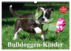 Cover-Bild zum Titel 'Bulldoggen-Kinder (Wandkalender 2026 DIN A3 quer), CALVENDO Monatskalender' von 'Elisabeth Stanzer'
