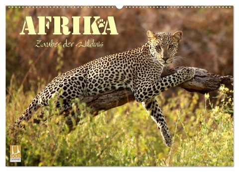 Afrika - Zauber der Wildnis (Wandkalender 2024 DIN A2 quer), CALVENDO Monatskalender - Dirk Stamm