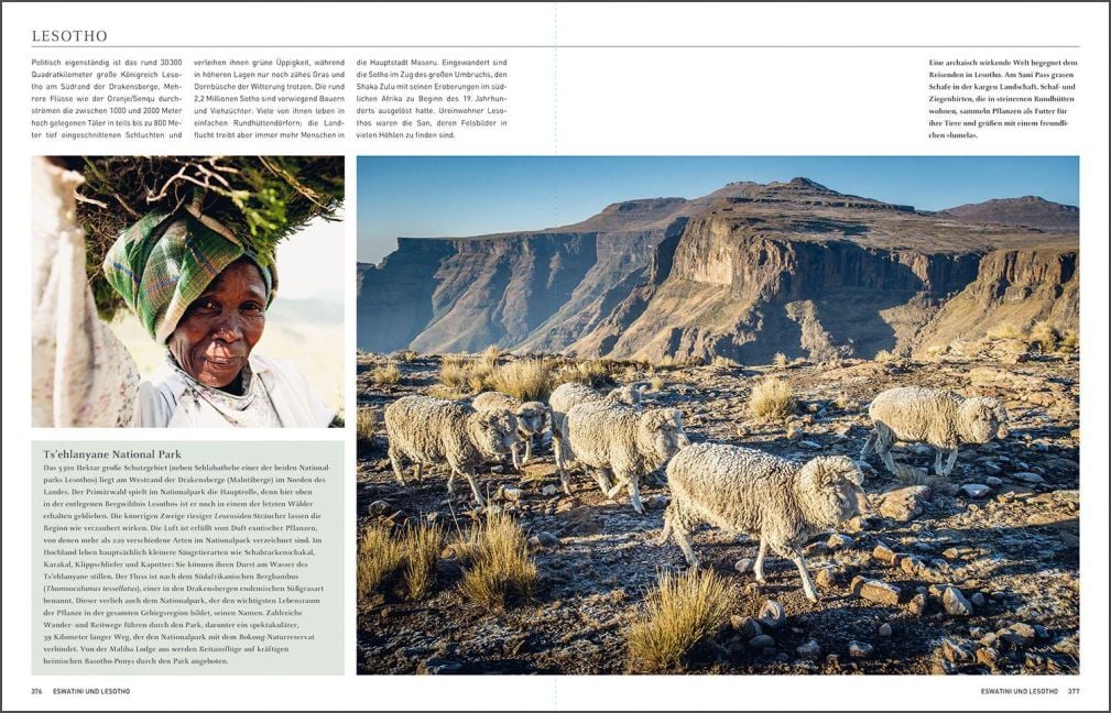 InsideView 19