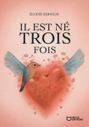 Cover-Bild zum Titel 'Il est né trois fois' von 'Élodie Kerneur'